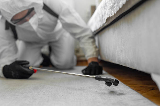 Professional Bed Bug Control technician working in Kurtistown, HI